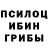 Псилоцибиновые грибы прущие грибы vlad vladimer